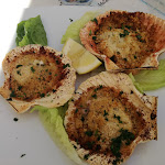 Photo n°2 de l'avis de Eveline.o fait le 18/06/2019 à 13:32 sur le  Ristorante Piper à Grado