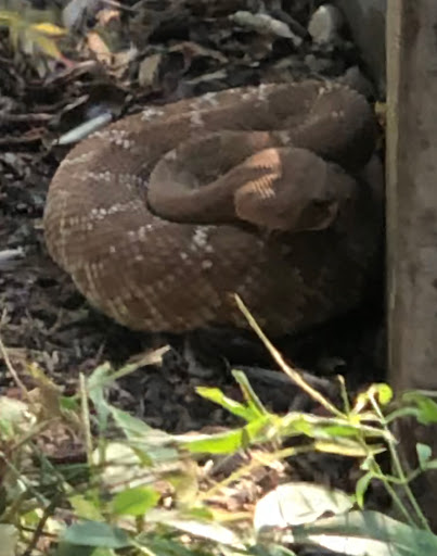 Funeral Home «Montecito Memorial Park and Mortuary», reviews and photos, 3520 E Washington St, Loma Linda, CA 92354, USA