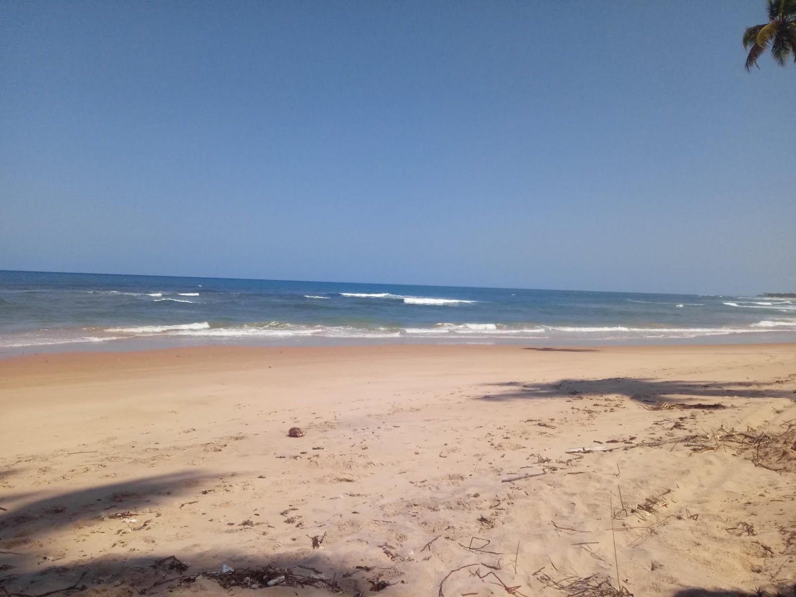 Foto van Praia do Cassange wilde omgeving