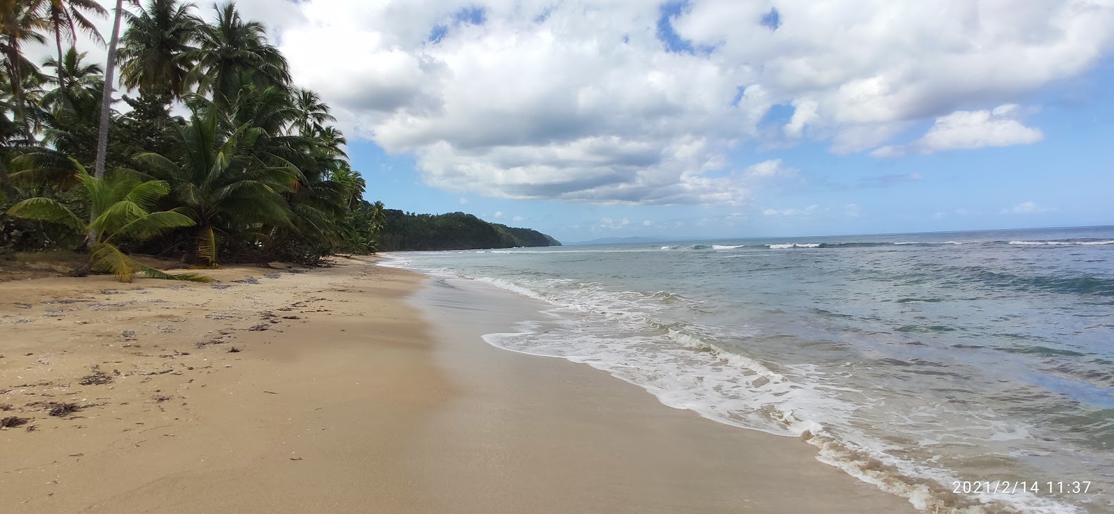 Foto di Playa Expiracion de Coson con una superficie del sabbia beige fine
