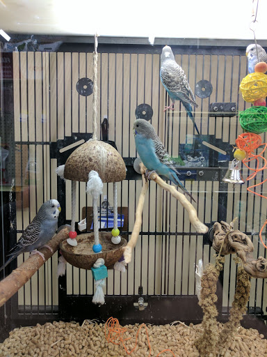 Pet Supply Store «PetSmart», reviews and photos, 19075 Interstate 45 S, Shenandoah, TX 77385, USA