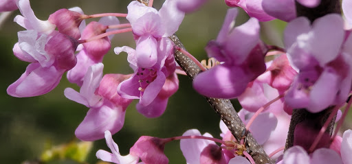 Park «DePauw Nature Park», reviews and photos, 1400 West County Road 125 South, Greencastle, IN 46135, USA