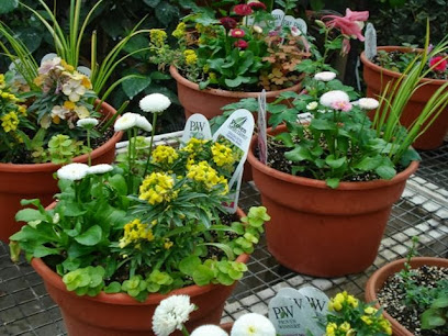 Wellman Florist and Greenhouse