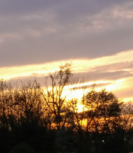 Home Improvement Store «The Home Depot», reviews and photos, 55 Granby St, Bloomfield, CT 06002, USA