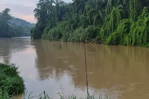 Selangor River image