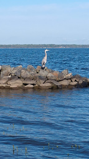 Park «Aquia Landing Park», reviews and photos, 2846 Brooke Rd, Stafford, VA 22554, USA