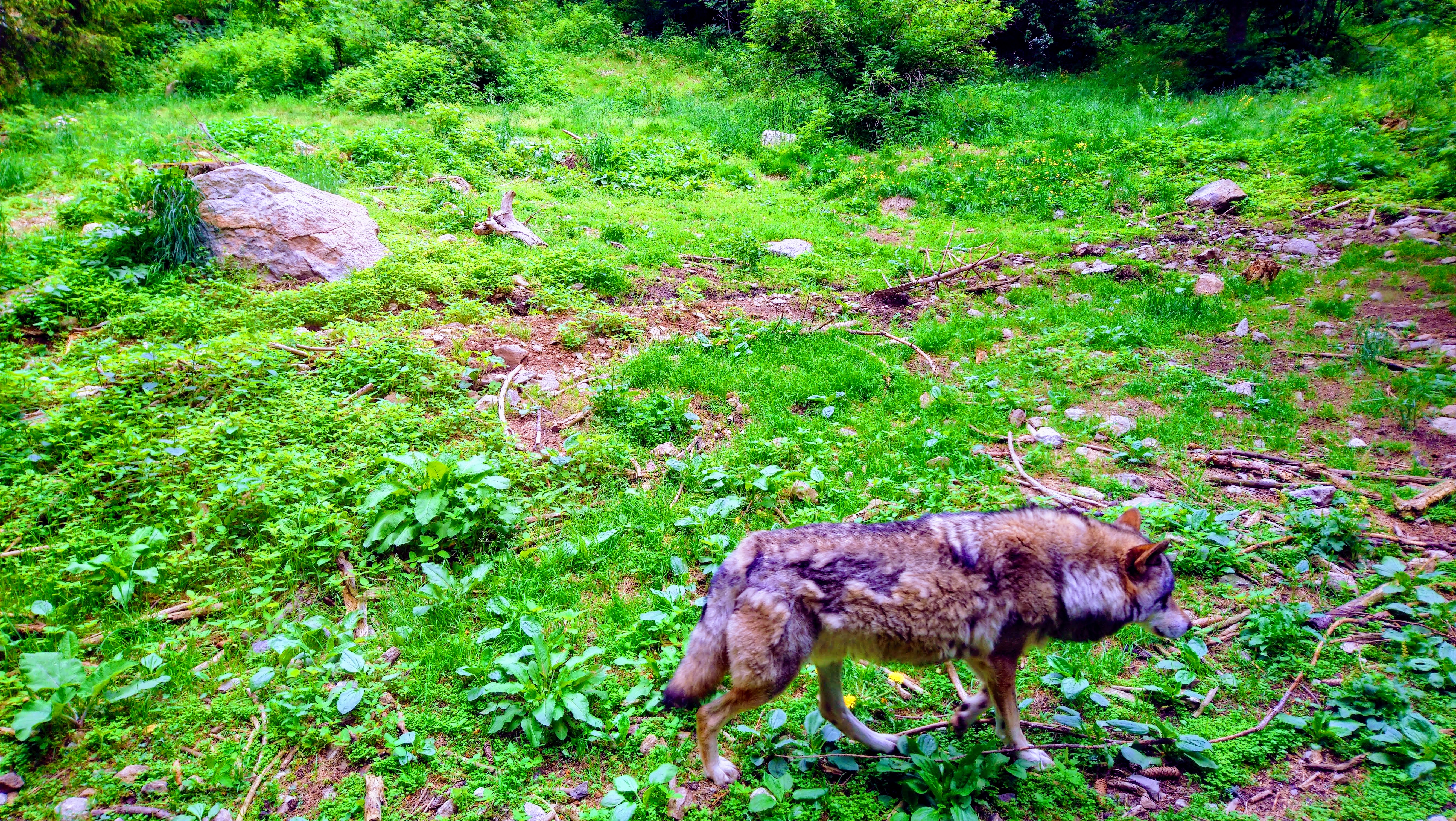 Photo n° 19 de l'avis de CHRISTOPHE. fait le 02/08/2019 à 07:51