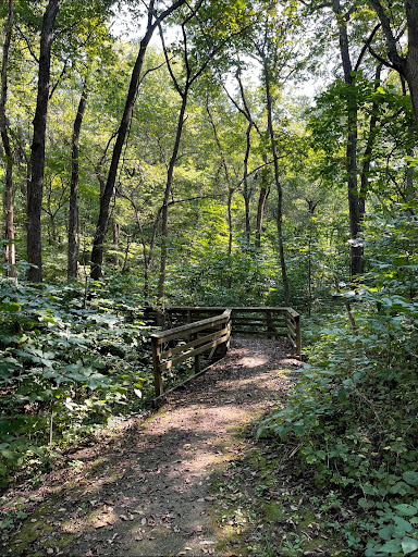 Bluffwoods Conservation trails