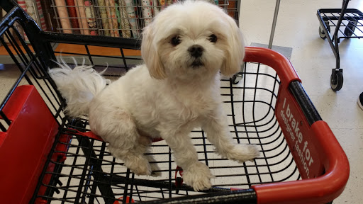 Department Store «T.J. Maxx», reviews and photos, 24 Peninsula Center, Rolling Hills Estates, CA 90274, USA