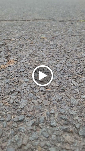 Fortress «Battery Weed», reviews and photos, N Weed Rd, Staten Island, NY 10305, USA