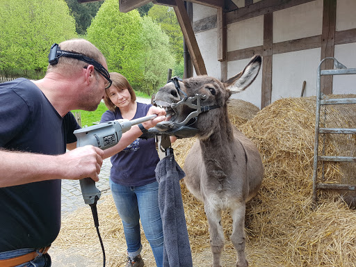 Pferdepraxis Aartalsee unter Mittenaar, 
