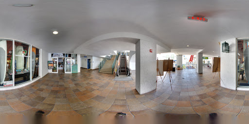 Surf Shop «Sunrise Paddleboards, LLC.», reviews and photos, 2520 N Federal Hwy, Fort Lauderdale, FL 33305, USA