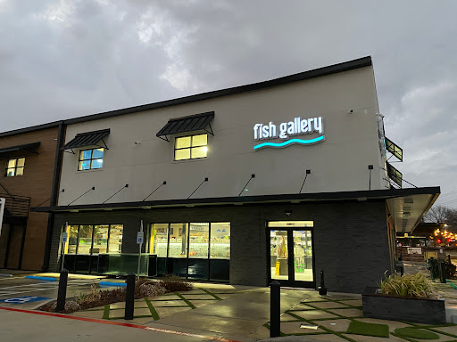 Tropical Fish Store «Fish Gallery», reviews and photos, 6955 Greenville Ave, Dallas, TX 75231, USA