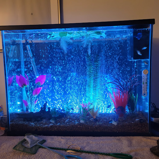 Pet Supply Store «PetSmart», reviews and photos, 1160 Stafford Market Pl, Stafford, VA 22556, USA