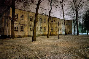 The Psychiatric Hospital. J. Babinski image