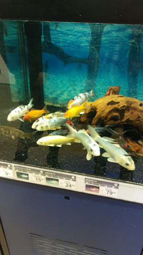 Pet Supply Store «Petco Animal Supplies», reviews and photos, 2131 Pleasant Hill Rd, Duluth, GA 30096, USA