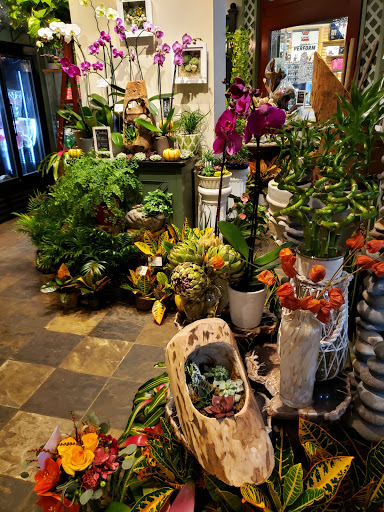 Florist «Fern by Boston Rose Florist», reviews and photos, 225 Massachusetts Ave, Boston, MA 02115, USA