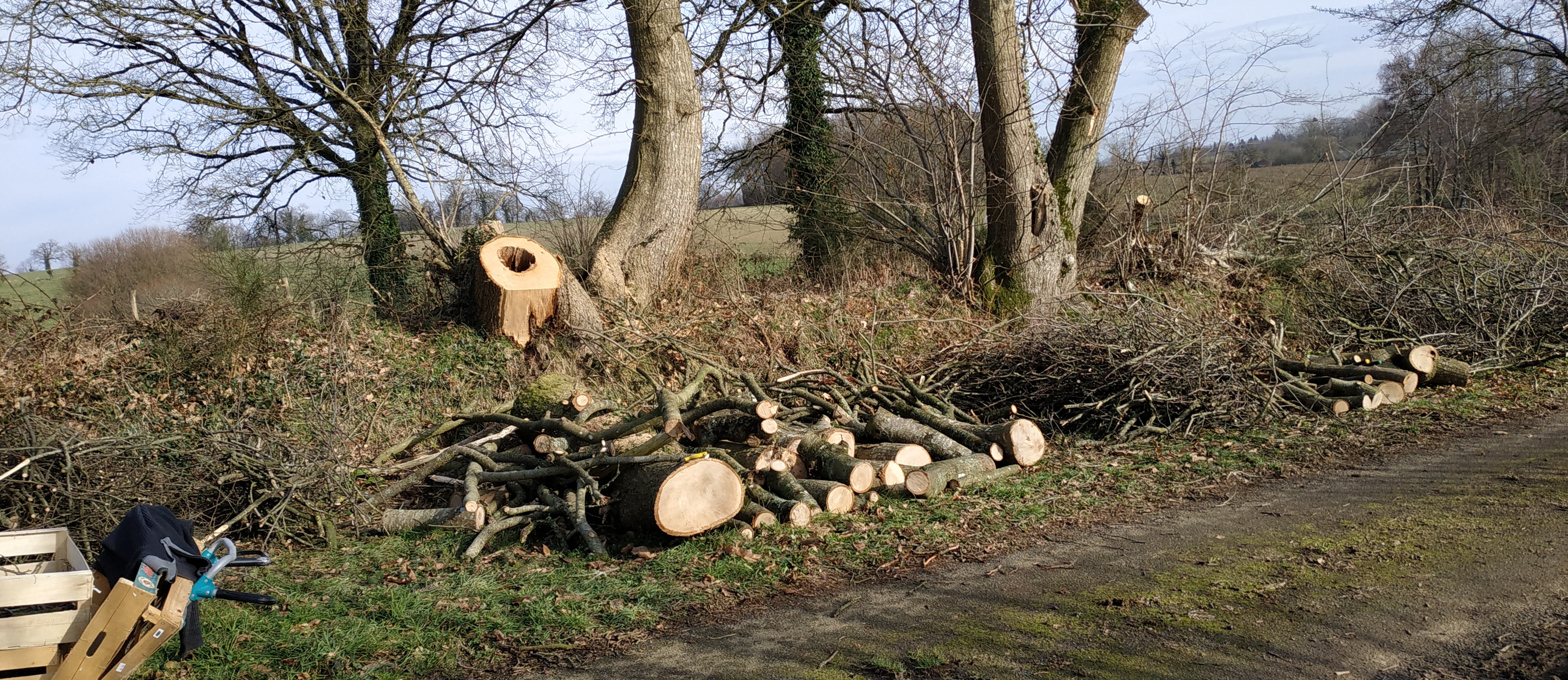 Photo n° 1 de l'avis de MOREL.T fait le 23/02/2024 à 18:53