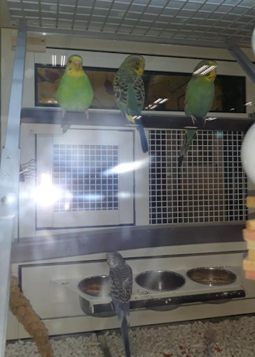 Pet Supply Store «PetSmart», reviews and photos, 5650 Mercury Dr, Dearborn, MI 48126, USA