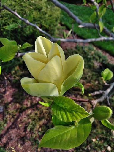 Golf Club «Whisper Creek Golf Course», reviews and photos, 12840 Del Webb Blvd, Huntley, IL 60142, USA