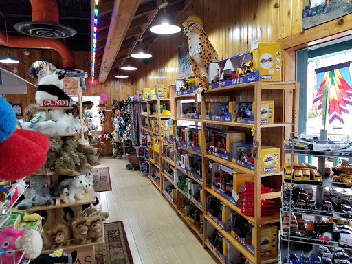 Toy Store «Dancing Bear Toys», reviews and photos, 518 Kenilworth Rd, Asheville, NC 28805, USA