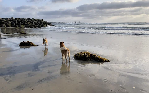 Dog Beach Ocean Beach image