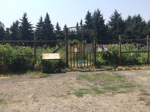 Eugene Community Gardens - Alton Baker Garden