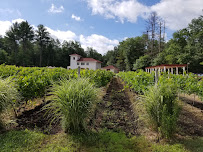 Fulchino Vineyard - Photo 4 - Car repair in Hollis, NH, Nashua