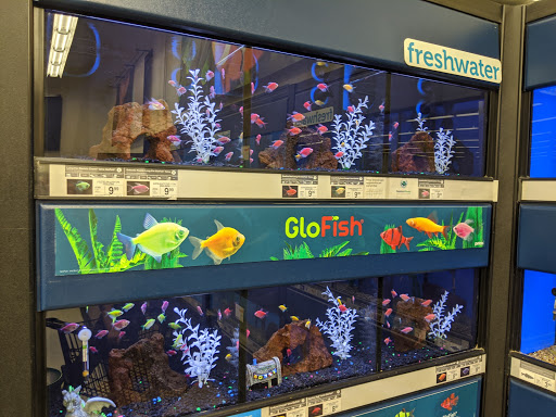 Pet Supply Store «Petco Animal Supplies», reviews and photos, 27111 167th Pl SE #113, Covington, WA 98042, USA