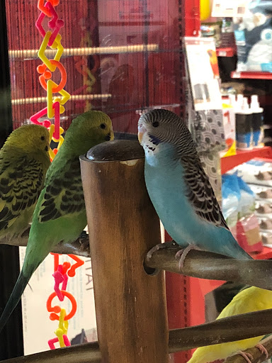 Pet Supply Store «Petco Animal Supplies», reviews and photos, 6631 Edwardsville Crossing Dr, Edwardsville, IL 62025, USA