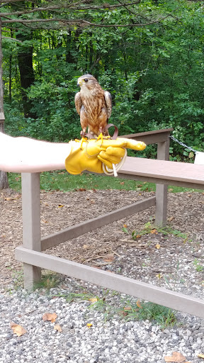 Nature Preserve «Lowry Nature Center», reviews and photos, 7025 Victoria Dr, Victoria, MN 55386, USA