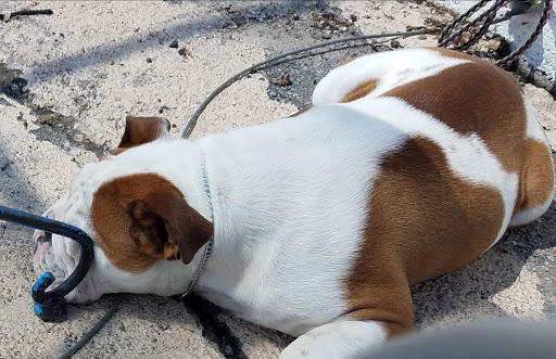 Coffee Shop «Kafeneio», reviews and photos, 258 3300 S, South Salt Lake, UT 84115, USA