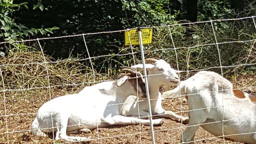 Recreation Center «Briarwood Recreation Center», reviews and photos, 2235 Briarwood Way NE, Atlanta, GA 30319, USA