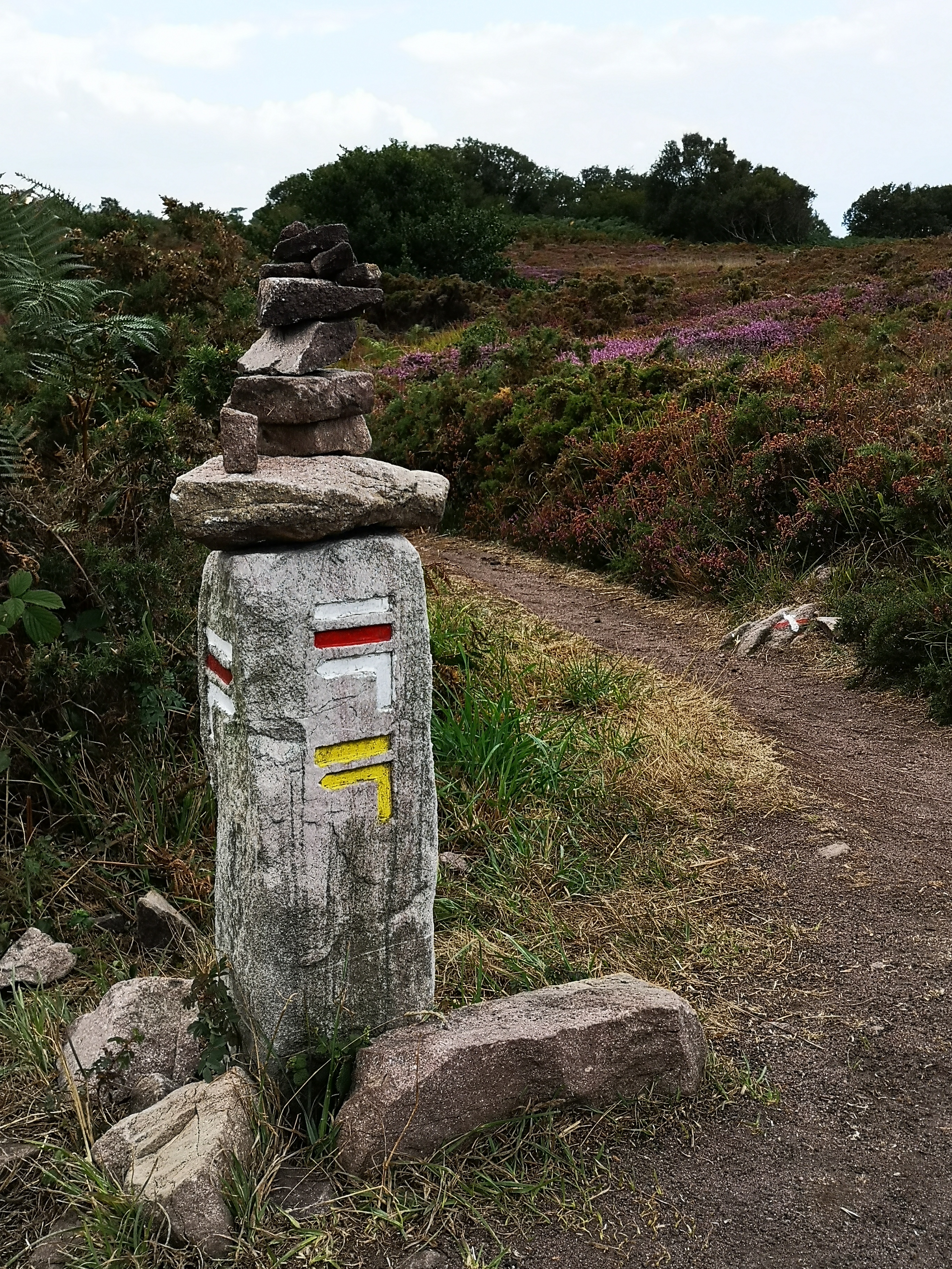 Photo n° 7 de l'avis de Manuela.i fait le 22/08/2019 à 19:28