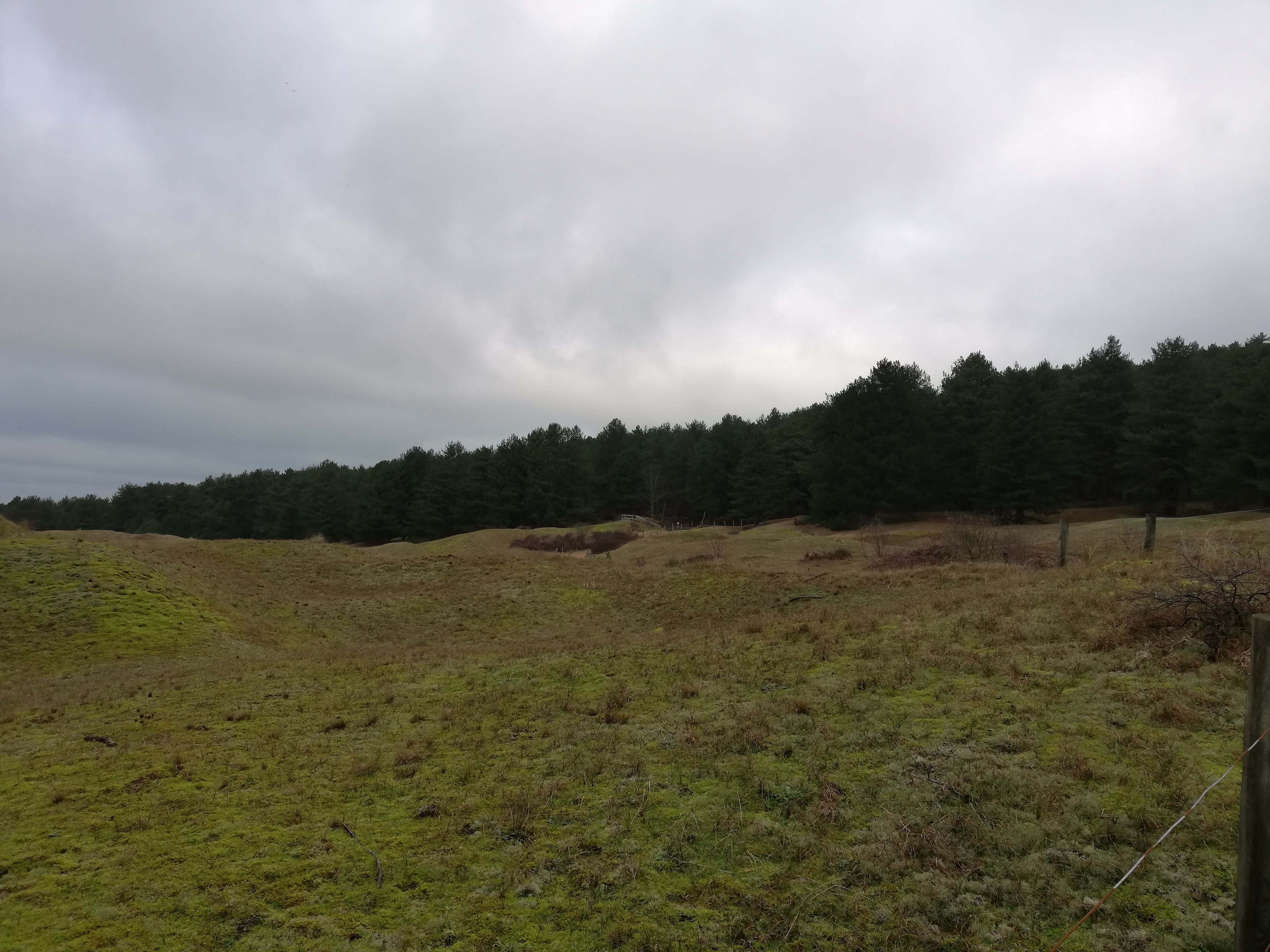 Photo n° 1 de l'avis de Vince.e fait le 12/01/2021 à 11:33