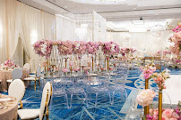 Tailored Twig - Photo 8 - Car repair in Tampa, FL, Tampa