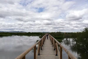 Reserva Natural de la Laguna de Fuente de Piedra image