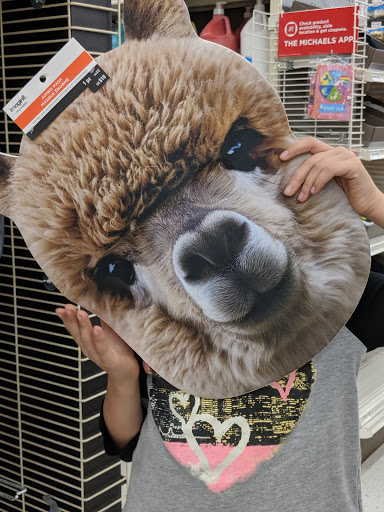 Craft Store «Michaels», reviews and photos, 100-B Independent Way, Brewster, NY 10509, USA