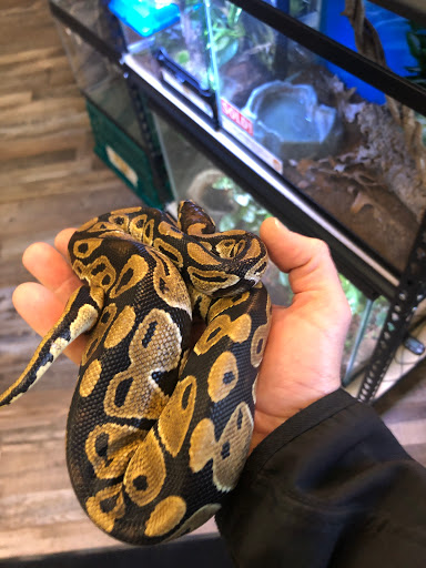 Pet Supply Store «Lacey Pet Supply», reviews and photos, 441 Lacey Rd, Forked River, NJ 08731, USA