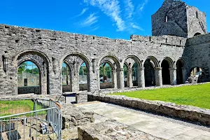 Boyle Abbey image