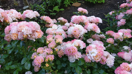 History Museum «Pittock Mansion», reviews and photos, 3229 NW Pittock Dr, Portland, OR 97210, USA