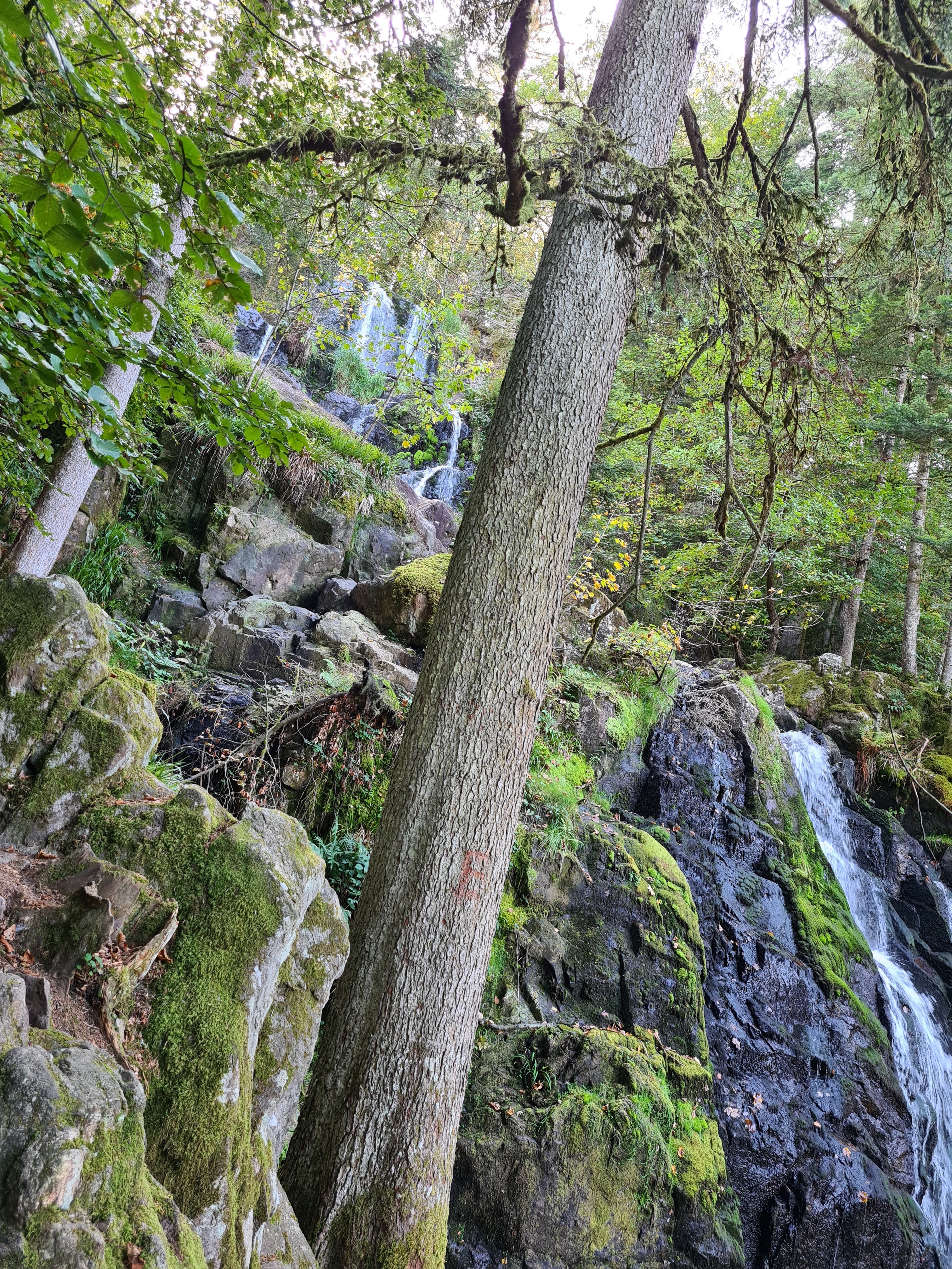Photo n° 2 de l'avis de Laurent.o fait le 12/10/2023 à 07:32
