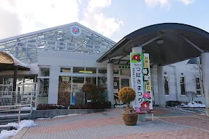 The World's Camellia Museum, Goishi image