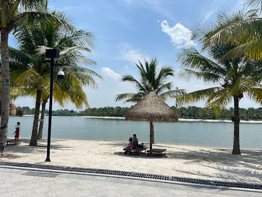 Top 20 apt cửa hàng Quận Hoàng Mai Hà Nội 2022