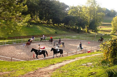 Ferme Equestre De Pommayrac à Verzeille