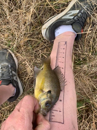 Explore baseball tattoo ideas for guys, creative tattoo ideas in Conway, available at Primal Urge Tattoos