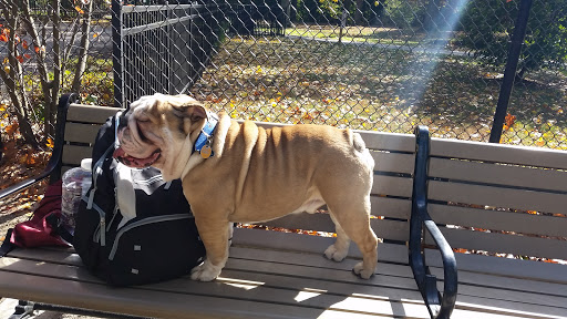 Dog Park «Brookdale Dog Park», reviews and photos, W Circuit Dr, Montclair, NJ 07043, USA