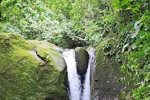 Cascada El Pavón image