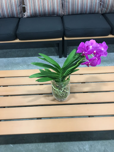 Florist «Flowers By Pouparina», reviews and photos, 7701 W 26th Ave #7, Hialeah, FL 33016, USA