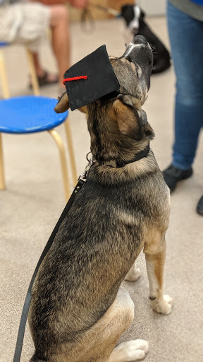 Pet Supply Store «PetSmart», reviews and photos, 350 Fifth St, Oswego, IL 60543, USA